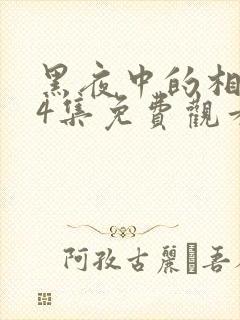 黑夜中的相拥24集免费观看
