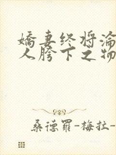 娇妻终将沦为他人胯下之物txt封面