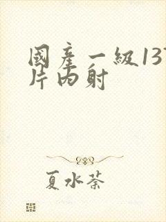 国产一级137片内射
