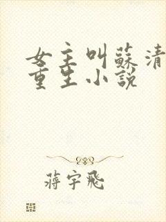 女主叫苏清浅的重生小说