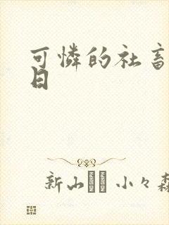 可怜的社畜东度日