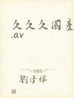 久久久国产精品.av