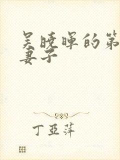 吴晓晖的第三任妻子