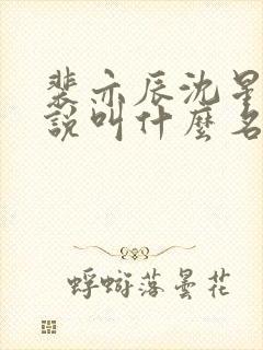 裴亦辰沈星玥小说叫什么名字