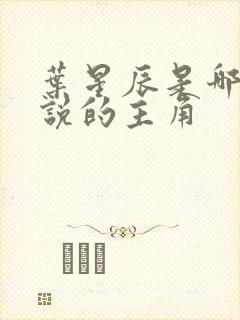 叶星辰是哪部小说的主角