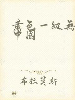 黄色一级无遮挡中国封面