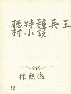 听特种兵王在山村小说封面