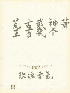 荒古武神萧云女主有几个封面
