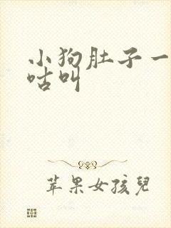 小狗肚子一直咕咕叫封面