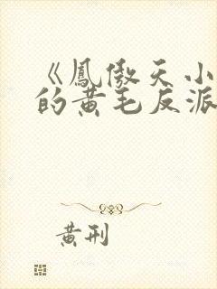 《凤傲天小说里的黄毛反派也想幸福》