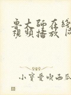 鲁大师在线观看视频播放 网址