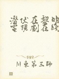 潜伏在黎明之前电视剧在线封面
