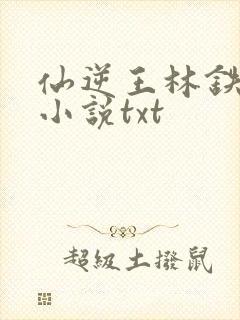 仙逆王林铁柱 小说txt