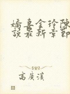娇妻金玲陈燕小说最新章节更新内容