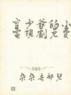 盲少爷的小女仆电视剧免费观看全集封面
