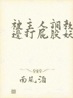被主人调教边c边打屁股妖精