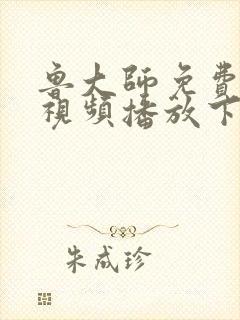 鲁大师免费观看视频播放下载