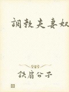 调教夫妻奴h文