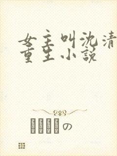 女主叫沈清漓的重生小说