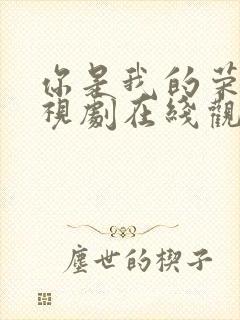 你是我的荣耀电视剧在线观看免费封面