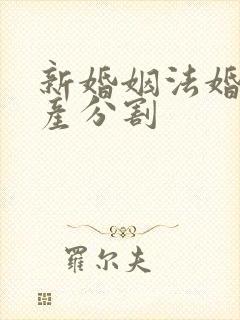 新婚姻法婚前财产分割