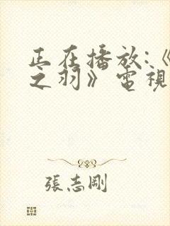 正在播放:《云之羽》电视剧高清免费