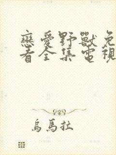 恋爱野兽免费观看全集电视剧高清
