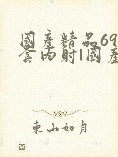 国产精品69无套内射|国产免费