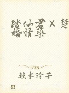 踏仙君×楚妃大婚情药