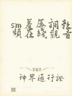 sm羞辱调教视频在线观看封面