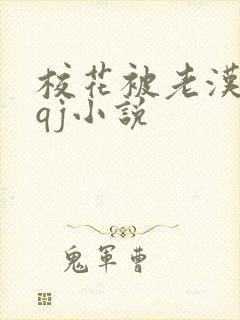 校花被老汉狂肉qj小说封面