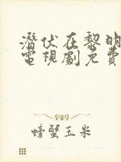 潜伏在黎明之前电视剧免费完整版