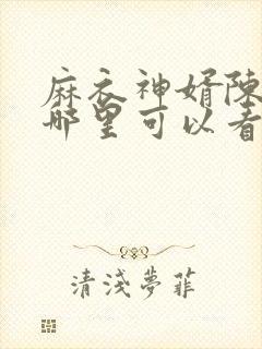 麻衣神婿陈黄皮哪里可以看