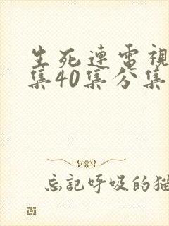 生死连电视剧全集40集分集剧情