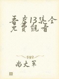 吾岸13集全集免费观看封面