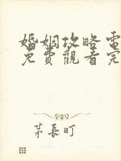 婚姻攻略电视剧免费观看完整版高清