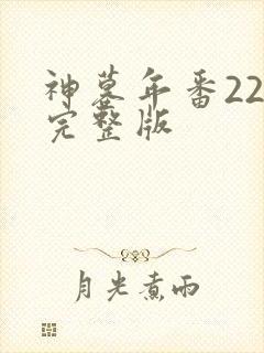 神墓年番22集完整版