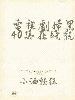电视剧扫黑风暴40集在线观看