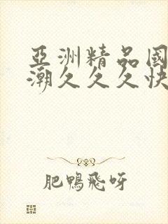 亚洲精品国产高潮久久久快点……
