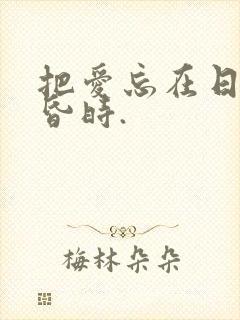 把爱忘在日落黄昏时.封面