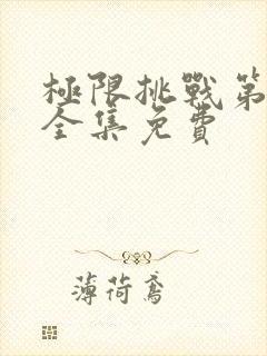 极限挑战第五季全集免费