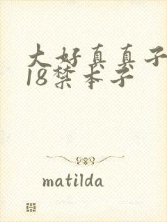 大好真真子同人18禁本子