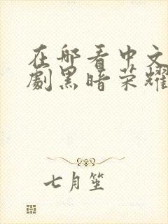 在哪看中文版韩剧黑暗荣耀第二季