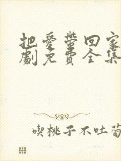 把爱带回家电视剧免费全集播放