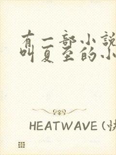 有一部小说主角叫夏至的小说