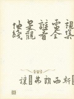 他是谁电视剧在线观看全集免费播放封面