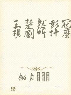 王楚然彭冠英电视剧叫什么名