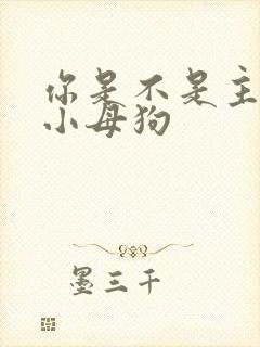 你是不是主人的小母狗