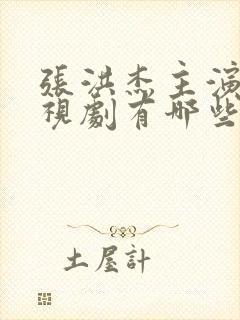 张洪杰主演的电视剧有哪些