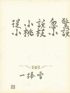 从小说忽惊春到小桃枝小说封面